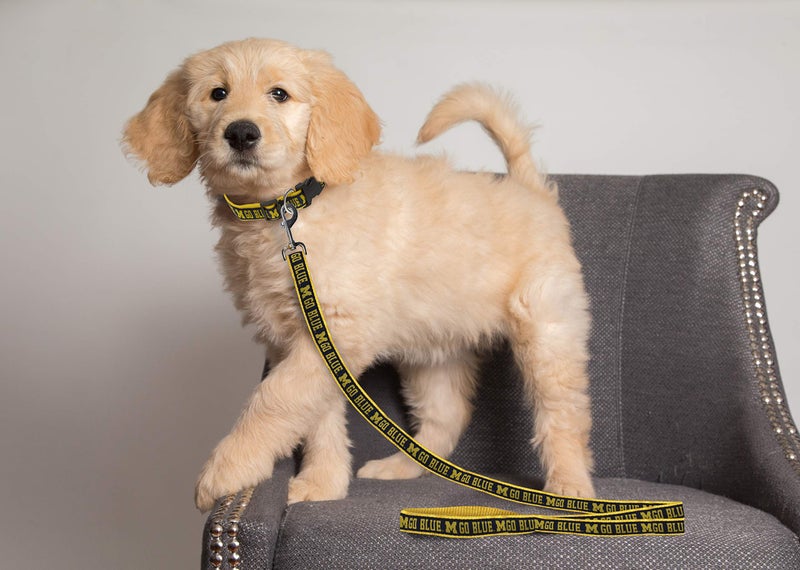 Pets First NCAA PET Leash, Medium, Michigan Wolverines, Dog Leash, Shiny & Colorful Leash for Dogs & Cats Licensed by The NCAA, Old Version - Image 2